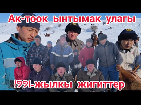 Видео: Ак-тоок ЫНТЫМАК улагы