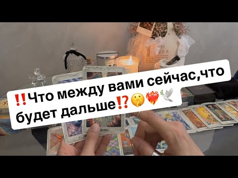 Видео: ‼️Что между вами сейчас,что будет дальше⁉️🤫❤️‍🔥🕊️