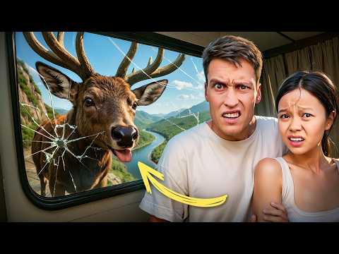 Видео: 7 Дней в САМЫХ СЕКРЕТНЫХ МЕСТАХ КИТАЯ! Такого мы не ожидали..