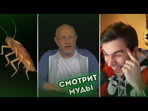 Видео: БРАТИШКИН СМОТРИТ - МУДЫ И ПРИКОЛЫ