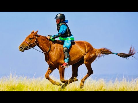Видео: Хурдан морины цол | ᠬᠤᠷᠳᠤᠨ ᠮᠣᠷᠢᠨ ᠤ ᠴᠣᠯᠠ