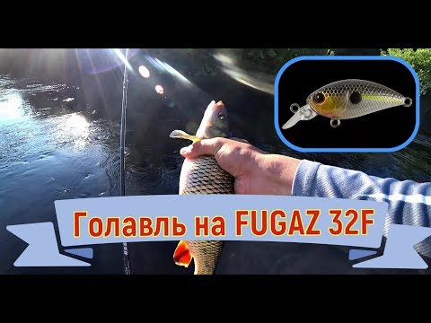 Видео: Голавль на FUGAZ 32F. Река Сож