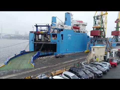 Видео: Снова в путь...Кусочек зеленого угла. Что такое 1литр и с чем его едят? Привет,Владивосток 🤗