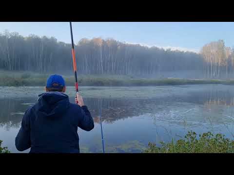 Видео: Порыбачил немного.