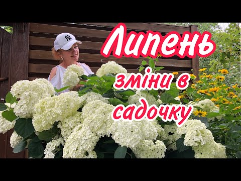 Видео: Липень.Зміни в САДУ.Квітне.Пахне.Тепер вони виглядають ІНАКШЕ.