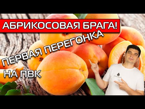 Видео: АБРИКОСОВАЯ БРАГА! ПЕРВАЯ ПЕРЕГОНКА С ПОМОЩЬЮ ПВК