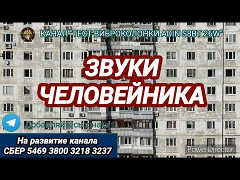 Видео: 437. Ответ шумным соседям. Звуки человейника