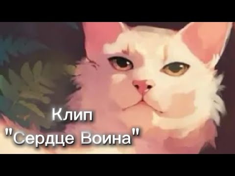 Видео: Коты-воители/Буран/Клип/"Сердце Воина"/@violetrussia 