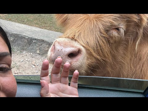 Видео: Ксения Las в прямом эфире!