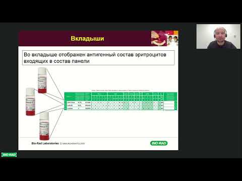 Видео: Домашин Артем. Идентификация антител