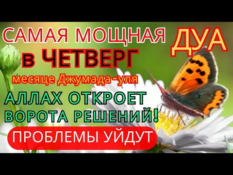 Видео: 💞САМАЯ СИЛЬНАЯ ДУА В ЧЕТВЕРГ В МЕСЯЦА Джумада-уля! ЖЕЛАНИЯ СБУДУТСЯ, ПРОБЛЕМЫ ИСЧЕЗНУТ!