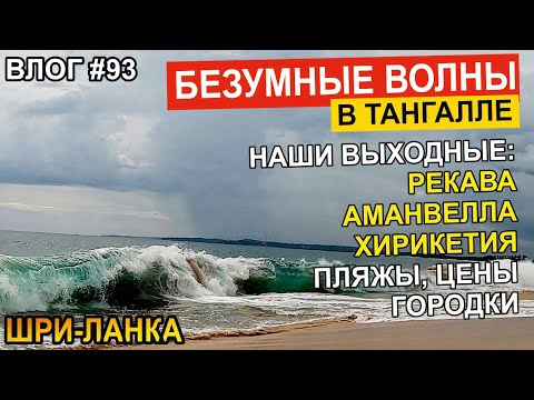 Видео: Шри-Ланка за Тангалле: Далеко заехали! Путешествия выходного дня. Наш Семейный Лайв Тревел Влог