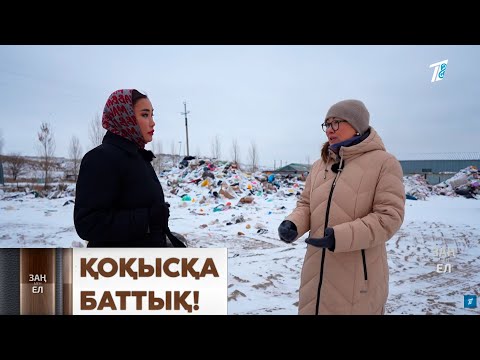 Видео: Мәжіліс депутаты қоқысты өртеп, көмбей – өңдеу керегін айтты.