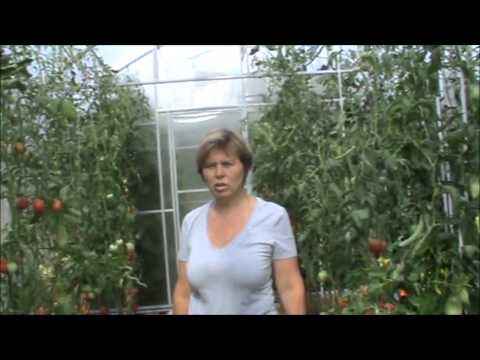 Видео: Практика природного земледелия 10 лет! Марина Дорофеева