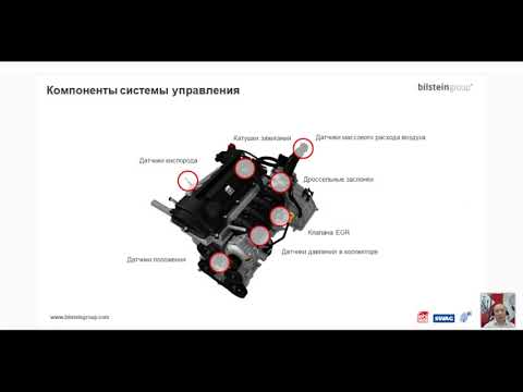 Видео: Система управления двигателем (FEBI)