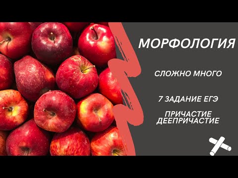 Видео: Морфологические нормы причастий и деепричастий