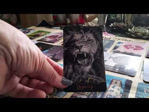 Видео: ВЫ В 💥🐾🐉 2025 Ч.2 #оракул#siraya