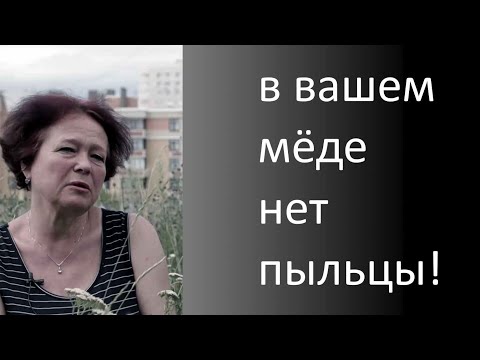 Видео: Ветлаборатория не обнаружила пыльцу в мёде