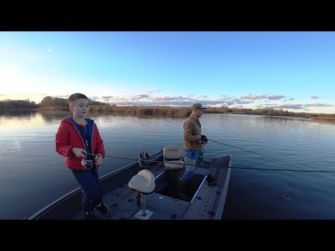 Видео: Гарні КАБАНЧИКИ ОКУНЯ! Вечірня РИБАЛКА з СИНОМ!