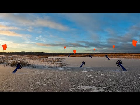 Видео: ПЕРЕСТАВИЛИ ЖЕРЛИЦЫ В УЮТНУЮ БУХТУ И ВСЕ ЗАГОРЕЛОСЬ! ЗИМНЯЯ ЛОВЛЯ ЩУКИ НА ЖЕРЛИЦЫ ПО ПЕРВОМУ ЛЬДУ