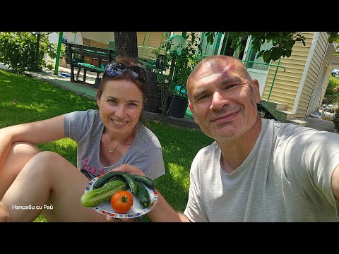 Видео: 15.Капково напояване и първа реколта!!!