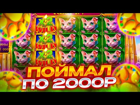 Видео: Поймал БОНУСКУ по 2000Р! Заносы недели в Cleocatra!