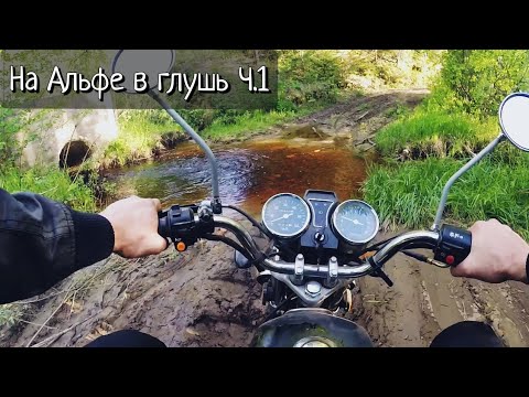 Видео: На мопеде Альфа в глушь.  Мощность мопеда. Дальняк. Сыктывкар. wilderness in Russia