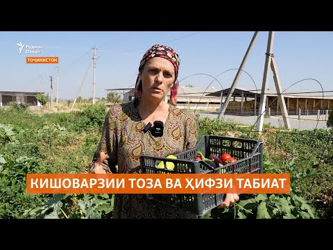 Видео: Кишоварзони аз Австралия барои ғизои пок ва ҳифзи муҳити зисти Тоҷикистон талош доранд