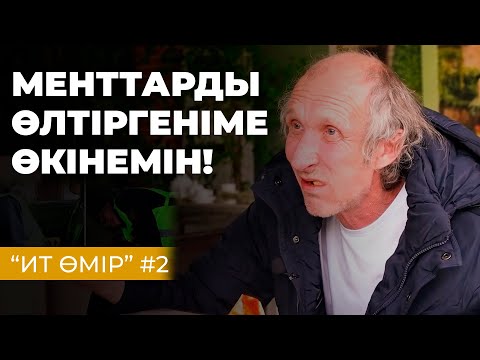Видео: МЕНТТЕРДІ ӨЛТІРГЕНІМЕ ӨКІНЕМІН! | ИТ ӨМІР #2