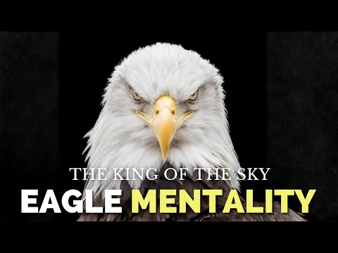 Видео: Мышление орла 🦅 | Поднимитесь над любой бурей | Мощная мотивирующая речь