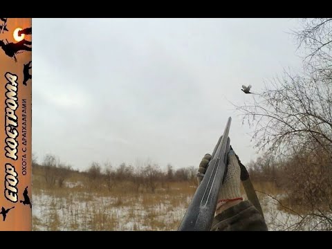 Видео: ОХОТА на ФАЗАНА по снегу и кряква "бонусом".