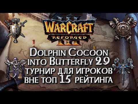 Видео: [СТРИМ] Турнир для прогресса игроков вне топ15: Dolphin Cocoon Into Butterfly Warcraft 3 Reforged