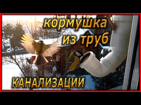 Видео: Кормушка для птиц из канализационных труб
