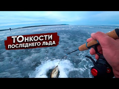 Видео: В ГЛУХОМ коряжнике ПОЛЧИЩА рыбы / ТОНКОСТИ ловли ПОСЛЕДНЕГО льда