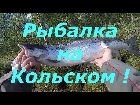 Видео: Ну наконец - то !   Первая семга .14 июня 2022 года . Рыбалка на Кольском .
