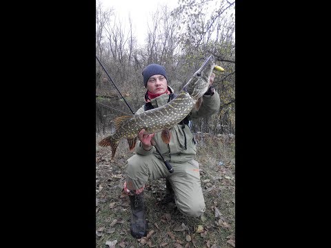 Видео: Октябрьская Щука! Рыбалка на р Псел! Трофейная Рыба!