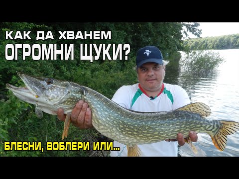 Видео: Как да хванем ОГРОМНИ ЩУКИ? Блесна, воблер, спинер или жива рибка?