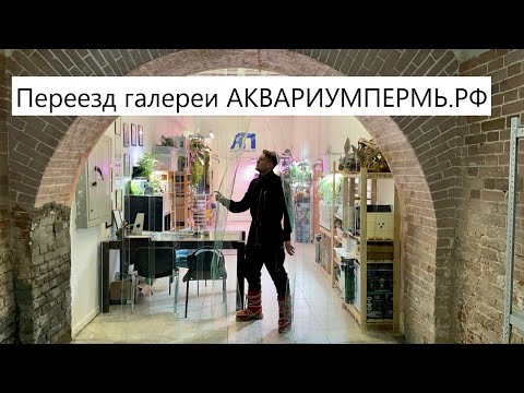 Видео: Перевозим офис АКВАРИУМПЕРМЬ.РФ в новое место , на улице -25 градусов