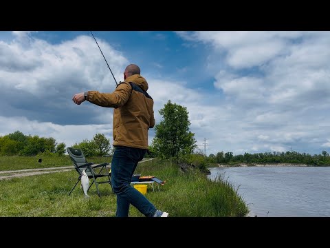 Видео: Рибалка 🎣 на Десні в холодний травень. Але клює не тільки біла риба. Деснянський сом. Зазим'я 2025.