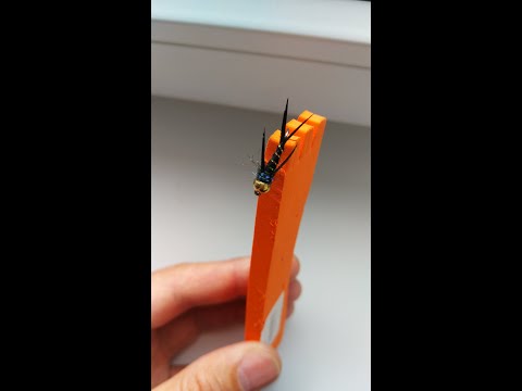 Видео: Черный принц. Нимфа на  Симу.