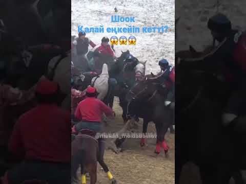 Видео: Шооок Қалай еңкейік кетті бұл палуан??? #buzkashi #mukanmoldadossov #kokbori #kokpar2022  #kokparkz