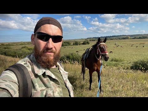 Видео: Пасу лошадей и рассказываю про нашу работу.