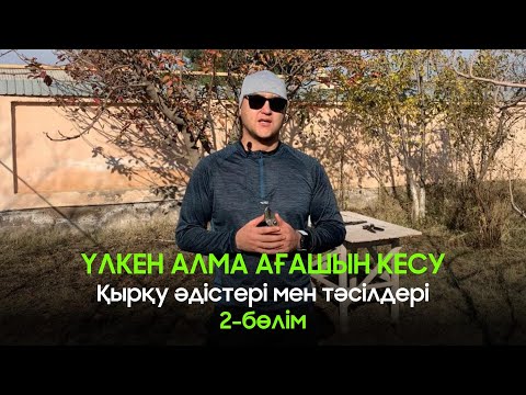 Видео: Үлкен алма ағашын кесу / қырқу әдісі мен тәсілдері 2-ші бөлім #ағаш #алма #қазақша #обрезка