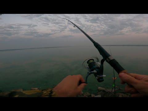 Видео: Рыбалка в Дубне! Иваньковское Водохранилище! Ловля Крупного Леща на Фидер!