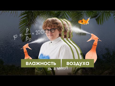 Видео: Влажность воздуха