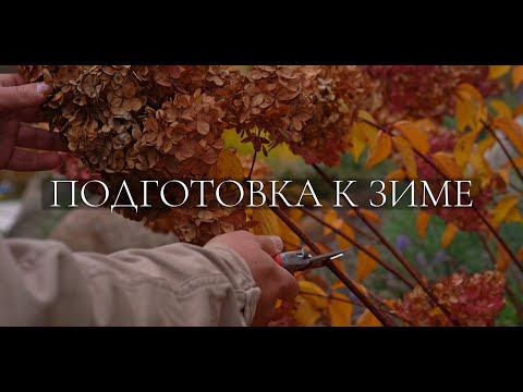 Видео: КАК ПОДГОТОВИТЬ САД К ЗИМЕ: обрезка, укрытие и уход за растениями