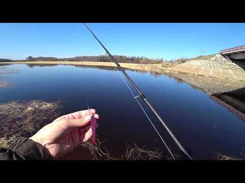 Видео: Рыбалка в нерест 10.05.2021