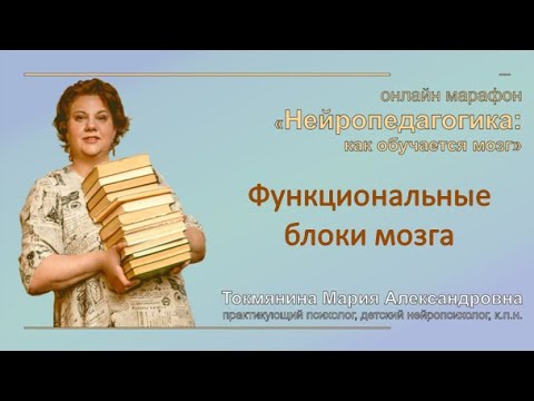 Видео: Функциональные блоки мозга