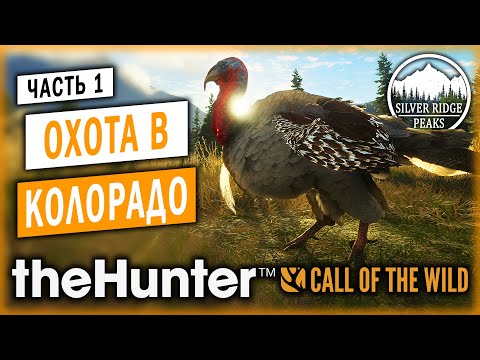 Видео: theHunter Call of the Wild #1 🦃 - Охота в Колорадо - Заказник "Серебряные Вершины"