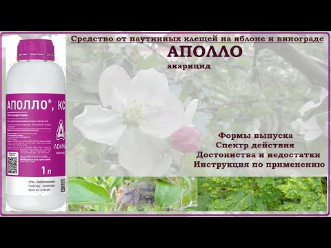 Видео: Аполло - эффективный акарицид против растительноядных клещей на яблоне и винограде. Обзор